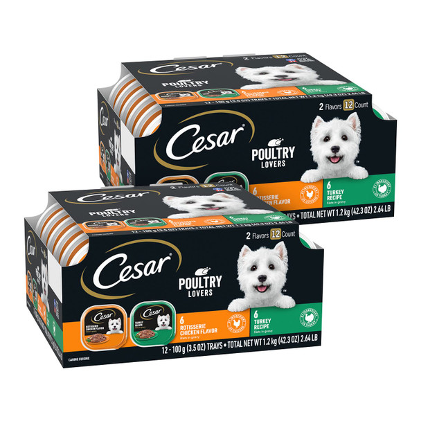 Cesar Filets In Gravy Adult Wet Dog Food Variety Pack Filet Mignon And York Strip Flavors 3.5 Oz. Easy Peel Trays Variety Pack 12 Count