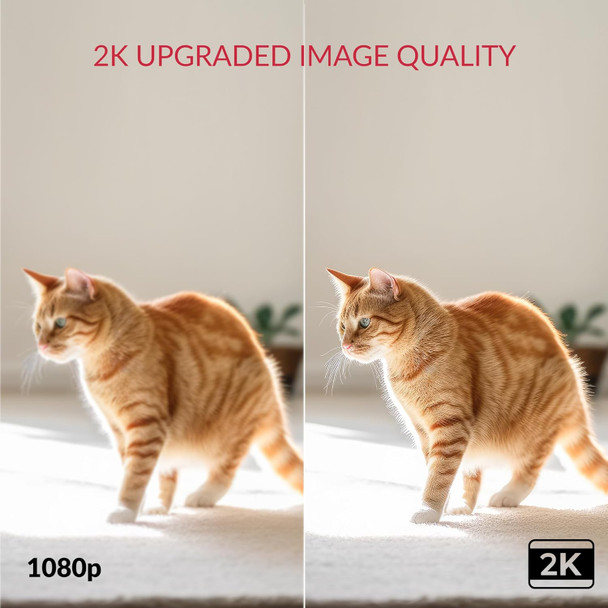 YI 2pc 2K Dome Security Camera, 2.4G Smart Indoor Pet Monitoring Cam with Night Vision, 2-Way Audio, Motion Detection, Phone APP, Compatible with Alexa and Google Assistant