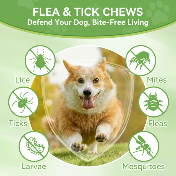 Choheel Dog Flea And Tick Chewables For Dogs 200Ct Natural Support Supplement Flea Supplement For Dogs Flea And Tick Chews For Dogs Puppies All Breeds & Sizes Digestive Health
