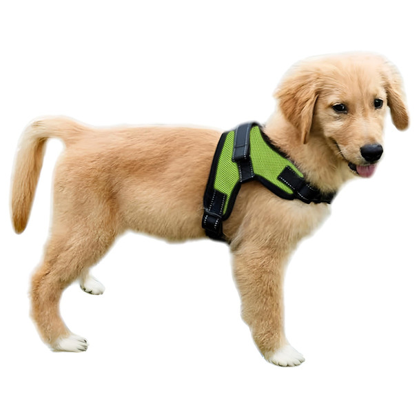 Copatchy No Pull Reflective Adjustable Dog Harness With Handle- Comfortable Soft All Weather Mesh Easy On Puppy Harness For Small Medium And Large Dogs (Green) X-Small