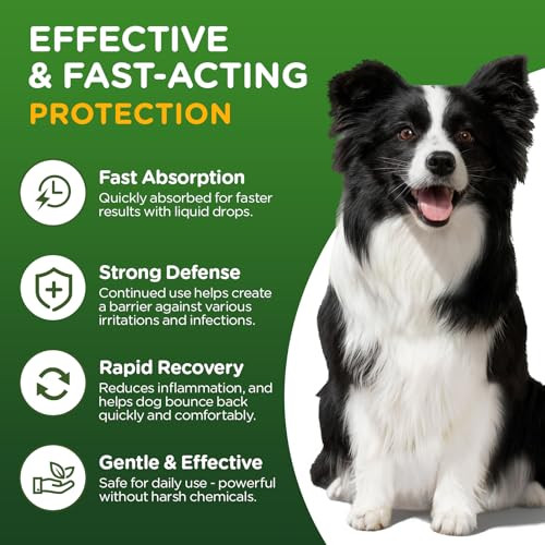 Corepup Antibiotics For DogsNatural Antibiotics For DogsPet AntibioticSupplement For Urinary Tract Support Digestion & Skin HealthDog Allergy And ItchNatural Herbal Supplement