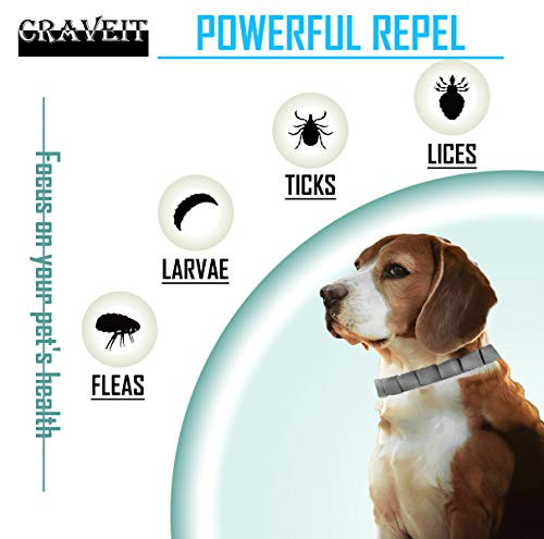 Craveit Flea And Tick Collar For Small Dog Repels Fleas & Ticks Natural Essential Oils Allergy Prevention 8-Month Protection Adjustable & Waterproof For Dogs Under 18 Lbs And Cats 2 Packs