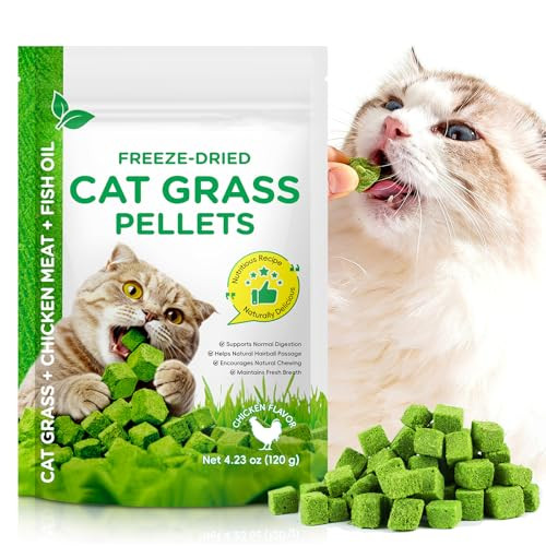 Dnxihitw Cat Grass Treats 120G Cat Grass Pellets Cubes For Indoor Cats Relief Hairball Support Dental Health Normal Digestion Skin And Coat Health Natural Snacks With High Fiber Formula