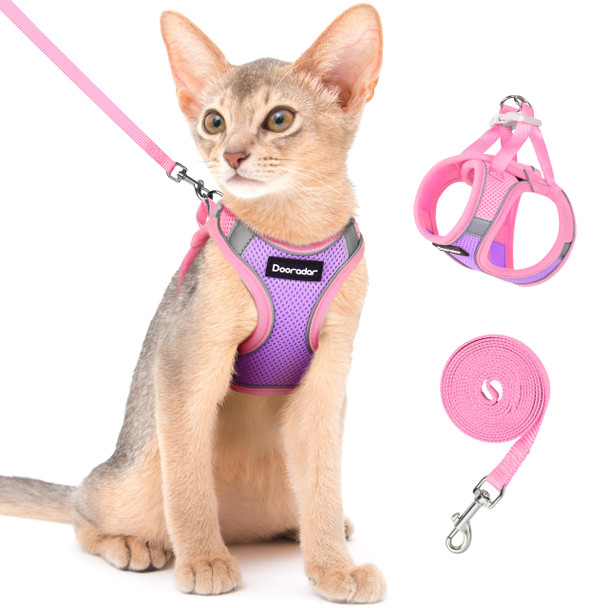 Dooradar Cat Harness And Leash Set Escape Proof Lightweight Kitten Harness Soft Breathable Reflective Vest For Outdoor Walking Traveling Adjustable For Large Cats Grey & Purple L