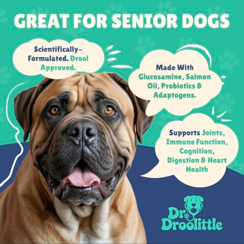 Dr. Droolittle Senior Dog Supplement - Glucosamine Msm Turmeric Salmon Oil Probiotics & Ashwagandha - Supports Cognitive Hip & Joint Digestive Immune & Heart Health - Dog Dementia Supplement.
