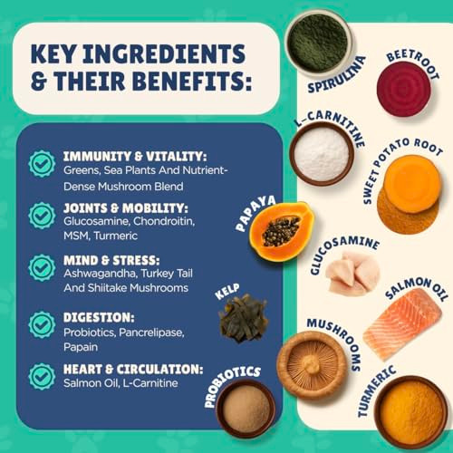 Dr. Droolittle Senior Dog Supplement - Glucosamine Msm Turmeric Salmon Oil Probiotics & Ashwagandha - Supports Cognitive Hip & Joint Digestive Immune & Heart Health - Dog Dementia Supplement.