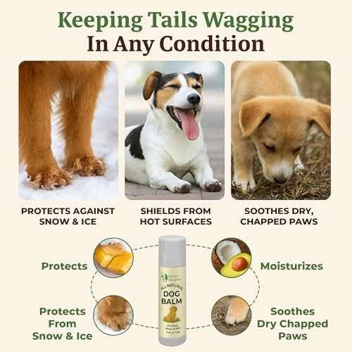 Earth'S Daughter Earth S Daughter Dog Paw Balm Big 0.56 Oz Organic Paw & Nose Protector With Beeswax Coconut & Calendula Itch Relief & Natural Skin Care For Dogs & Puppies Travel Essential