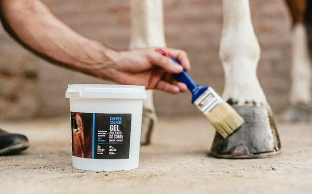 Equi - Care Copper Sulfate Hoof Gel: Premium Thrush Treatment Hoof Care Designed To Maintain The Health Of Horse'S Hooves Ensuring Strong And Resilient Hooves. (28Oz)
