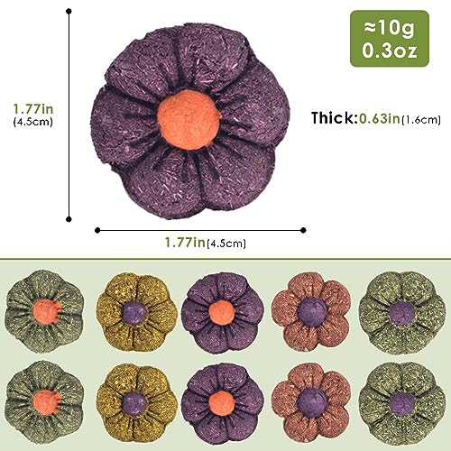 Erkoon Rabbit Chew Toys 10Pcs 1.77 Timothy Grass Treats Small Animal Molar Toys For Guinea Pig Hamster Bunny Chinchilla Gerbil Handmade Rabbit Chews And Treats