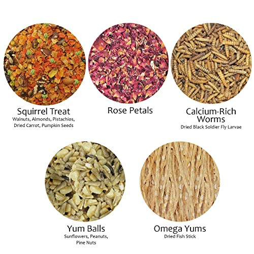 Exotic Nutrition Squirrel Treat Bundle - Natural Healthy Assortment - Fruits Veggies Nuts & Chews - Flying Tree & Ground Squirrels Chipmunks Groundhogs & Prairie Dogs