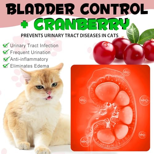 Fanshi Cat Uti Supplement Feline Urinary Tract Health Support Drops With Cranberry & Natural Herbs Promotes Bladder & Kidney Function Chicken Flavor 2 Fl Oz