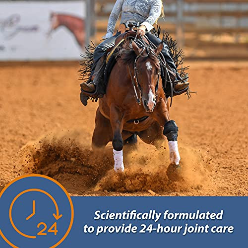 Farnam Maxflex Xr Extended Release Joint Supplement For Horses Provides A Continuous Supply Of Joint Health Ingredients For 24 Hours 0.9375 Pound 30 Day Supply