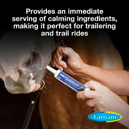 Farnam Quietex Ii Horse Calming Paste 32.5 Ml Syringe Manage Nervous Behavior & Keep Horses Calm Focused & Composed 7 Stress-Relieving Ingredients Calm Magnesium Supplement