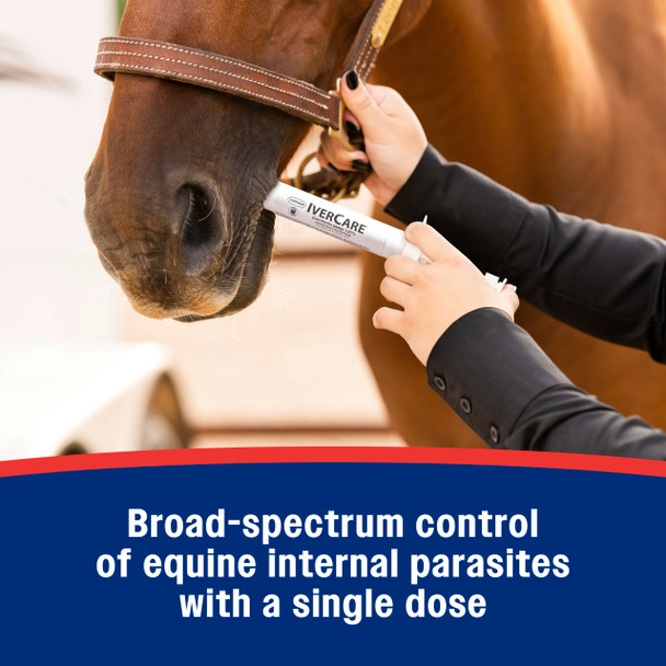 Farnam Ivercare (Ivermectin Paste) 1.87% For Horses Anthelmintic And Boticide 0.21 Ounces Horse Dewormer Ivermectin Apple-Flavored Paste Up To 1250 Lbs
