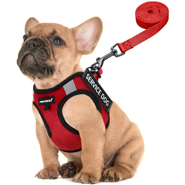 Fayogoo Dog Harness For Small Dogs - Lightweight Service Dog In Training Harness With 6Pcs Removable Patches - Puppy Harness For Walking Training
