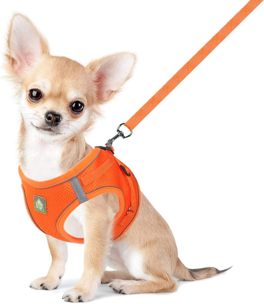Feimax Dog Harness And Leash Set No Pull Breathable Soft Mesh Puppy Vest Harness Reflective Adjustable Pet Harnesses For Small Medium Dogs And Cats - Outdoor Easy Control For Walking