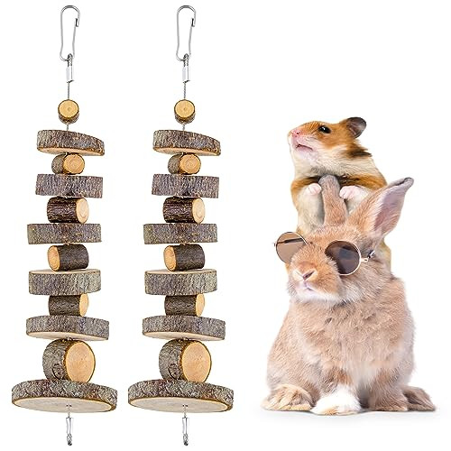 Fjnatinh Small Animal Chews Toy Apple Wood Block Cage Hanging Molars Treats Snack For Hamsters Rabbits Bunny Bird Parrots Chinchilla Guinea Pig Gerbils Squirrels 2 Pack