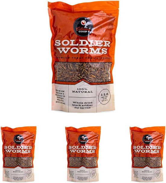 Fluker'S Culinary Coop Premium Chicken Treats Dried Soldier Worms Packed With Protein And Calcium 100% Natural Rich Grubs For Chicken Backyard Birds And Reptiles 16 Oz