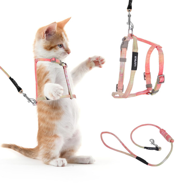 Giantree Cat Harness With Leash And Collar Set Adjustable H-Shaped Kitten Harness Escape Proof Harness Glow In The Dark For Kitty Outdoor Walking (Orange)