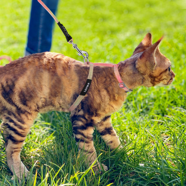 Giantree Cat Harness With Leash And Collar Set Adjustable H-Shaped Kitten Harness Escape Proof Harness Glow In The Dark For Kitty Outdoor Walking (Orange)