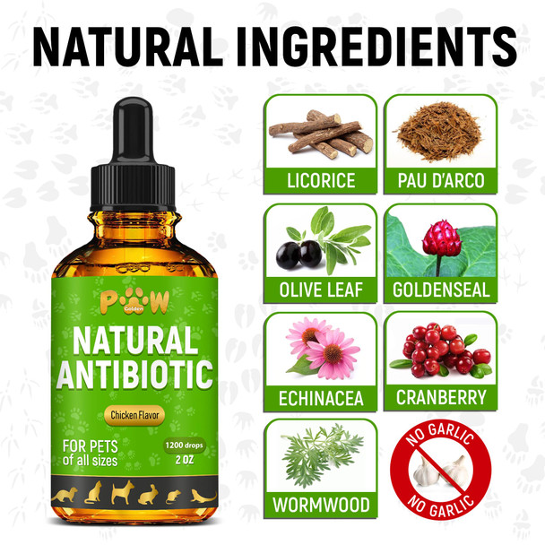 Golden Paw Pet Antibiotics For Cats Dogs Rabbits Works Well As Fish Poultry Reptile Turtle & Chicken Antibiotics Helps With Utis Allergies Runny Nose Herbal Supplement For Digestive Support 2 Oz