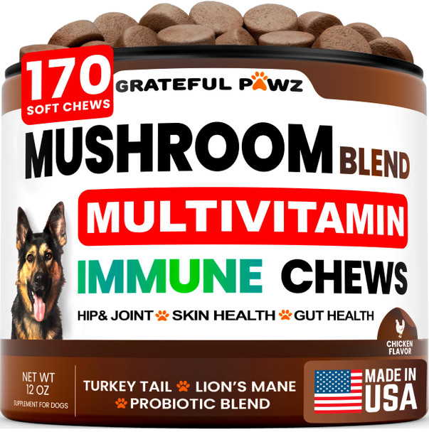 Grateful Pawz Turkey Tail Mushroom Supplement For Dogs - 170 Chews - Mushrooms For Dogs - Reishi Lion S Mane Glucosamine Multivitamin - Immune Booster Gut Hip & Joint Health Support Vitamins Energy & Skin