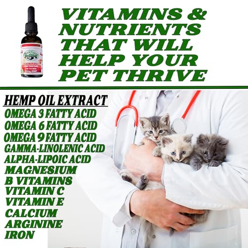 Pet Hemp Oil Catnip Oil Dogs And Catsl Aids With Anxiety Stress Pain Hip Joint And Muscle Support For Young To Senior Pets 120Mg Organic Hemp 100% Natural Green Planet Hemp
