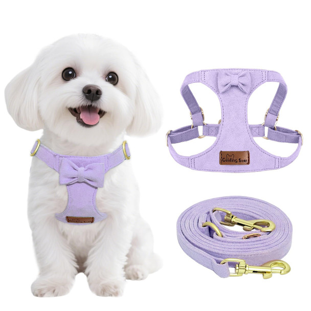 Guiding Star Dog Harness Small Sized Dog With Multifunction Leash No Pull Puppy Dog Harness And Leash Set Training Cute Soft Adjustable Dog Walking Harness Pet Vest Harness (Purple-Xxs)
