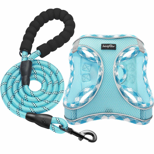 Haapaw Dog Harness With Leash Set No Pull Adjustable Reflective Step-In Puppy Harness With Thickened Padded Vest For Extra-Small/Small Medium Dogs