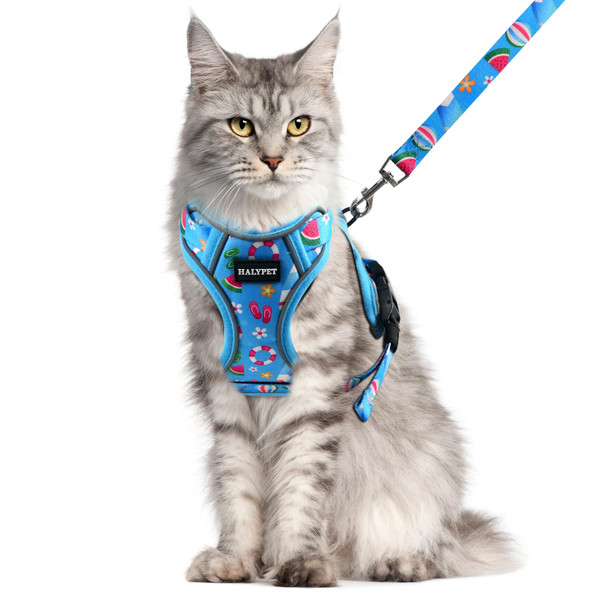 Halypet Cat Harness And Leash Set For Walking Escape Proof Adjustable Vest Harness With 3-In-1 Integrated Buckles Easy Control Soft Breathable Mesh With Reflective Strips For Cats S Moonlight Meow