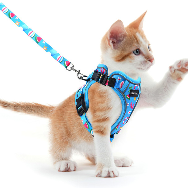 Halypet Cat Harness And Leash Set For Walking Escape Proof Adjustable Vest Harness With 3-In-1 Integrated Buckles Easy Control Soft Breathable Mesh With Reflective Strips For Cats S Moonlight Meow