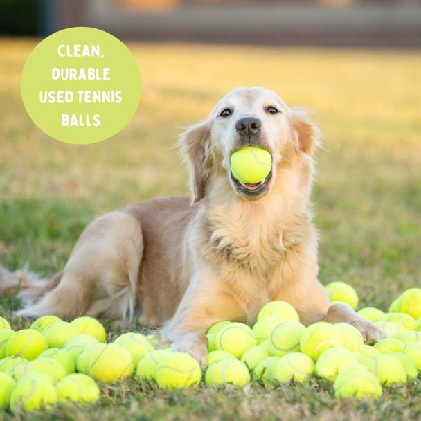 Handmade Recycled Tennis Balls For Dogs: Classroom Chairs Bulk Tennis Balls For Dogs To Fetch Real Recycled Durable Tennis Balls: Choose Your Quantity (100 Balls)
