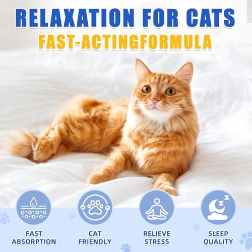 Hanlisee Cat Melatonin Melatonin For Cats Cat Sleep Supports Helps To Support Restful Sleep For Your Cat - Cat Sleep Aid - Anxiety Relief For Cats Separation Anxiety