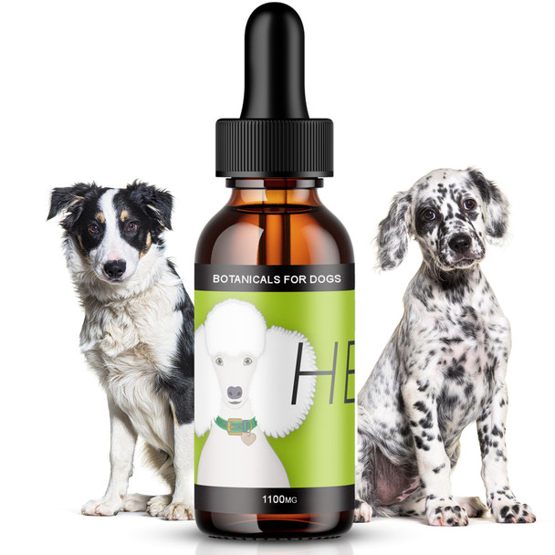 Hemp Dog Health Heal - Pet Hemp Oil For Dogs - Immune System & Senior Dog Support - Neurological & Adrenal Balance - Daily Wellness Drops