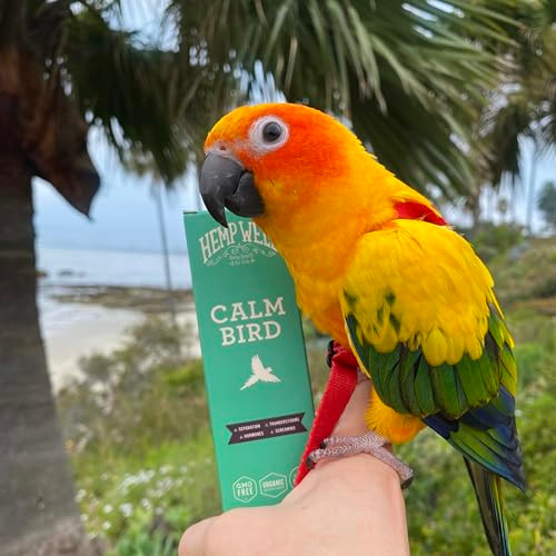 Hemp Well Calm Bird Oil Relieves Anxiety Calms And Relaxes Your Bird Reduces Destructive Behavior Organically Sourced 2 Ounces