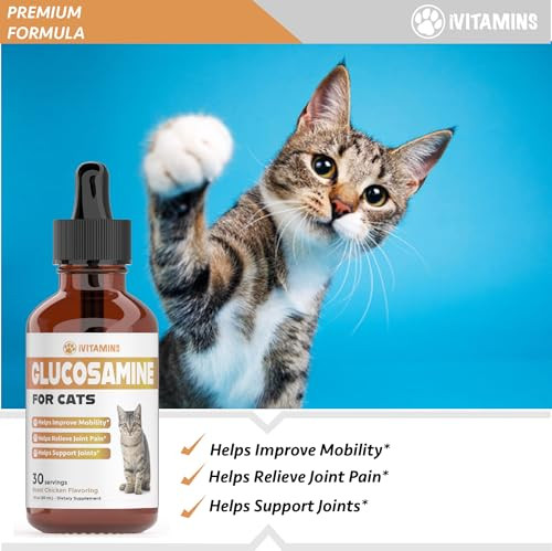Ivitamins Glucosamine For Cats Cat Glucosamine Glucosamine For Cats Liquid Cat Joint Supplement Joint Supplement For Cats Cat Joint Pain Relief Joint Support For Cats 1 Fl Oz: Chicken Flavor