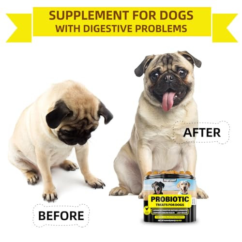 J-Prq Probiotics For Dogs - Grain Digestive Support For Gut Health & Skin Comfort - Delicious Soft Treats With Prebiotics For Puppy Adult & Senior Dog