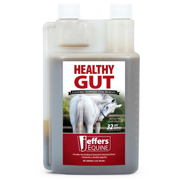 Jeffers Equine Healthy Gut Gastric Support Liquid Digestive Supplement For Horses Prone To Ulcers Easy To Feed Formula Supports Gut Comfort & Digestive Balance 1 Gallon (128 Day Supply)