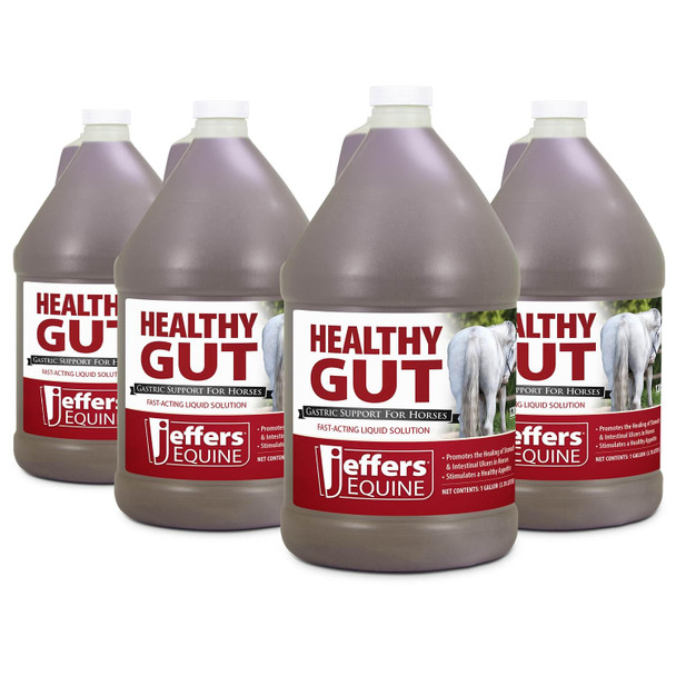 Jeffers Equine Healthy Gut Gastric Support Liquid Digestive Supplement For Horses Prone To Ulcers Easy To Feed Formula Supports Gut Comfort & Digestive Balance 1 Gallon (128 Day Supply)