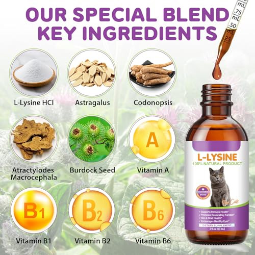 Jollifish L-Lysine Drops For Cats Lysine Supplement For Cats Support Immune System Respiratory Health & Eyes Function Skin & Coat Health Pets Health Supplies Cat Multivitamins Chicken Flavor - 2 Fl.Oz