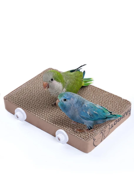 Jons Nty 7.3 Inch Paper Bird Toys Bird Platform Parrot Toy Help Birds Clean Beak Release Stress Reduce Boredom - Suitable For Budgie Cockatiel Lovebird And Other Small To Medium-Sized Pet Birds