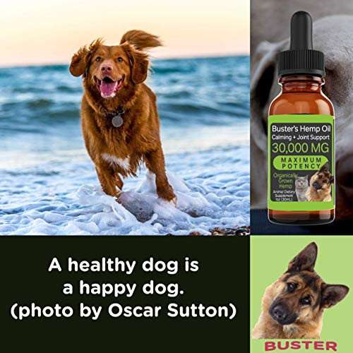 K2Xlabs Busters Organic Hemp Oil 2Pack 2Months Supply Treats For Dogs And Cats Perfect Ratio Omega 3 And 6 Made In Usa Hip And Joint Health Natural Relief Calming
