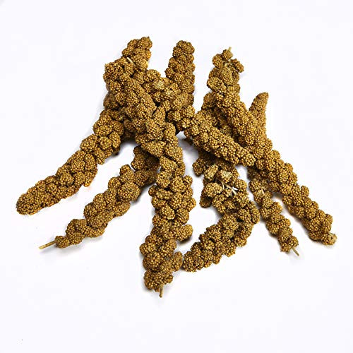 Kaytee Spray Millet Treat For Pet Birds 7 Ounce