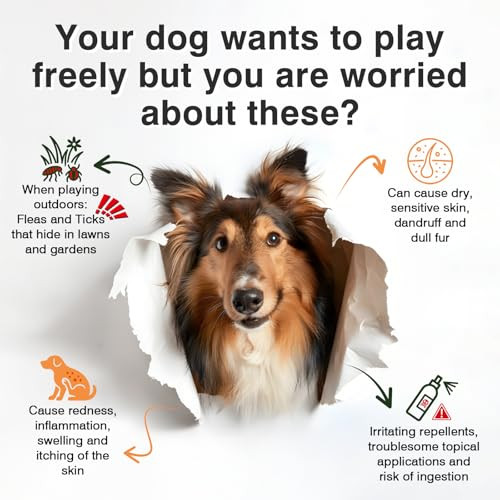 Klomkmcl Omega 3-Dog Flea And Tick Prevention Allergy Chews For Dogs Treatment Chewable Natural Flea And Tick Skin And Coat Supplement Immune Dog Chews Yeast Relief Prevention For Dogs Itching And Licking