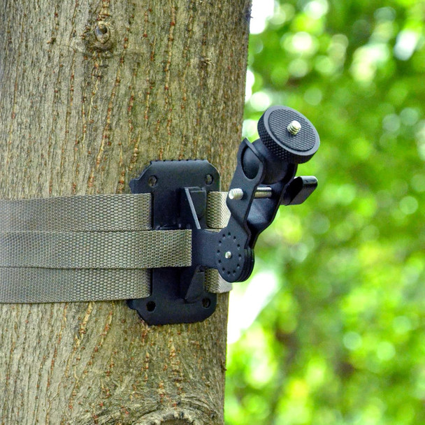Trail Cameras Holder