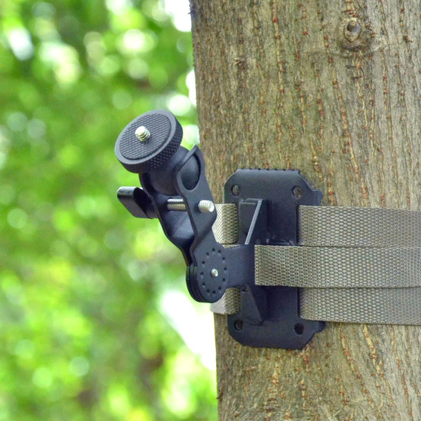 Trail Cameras Holder