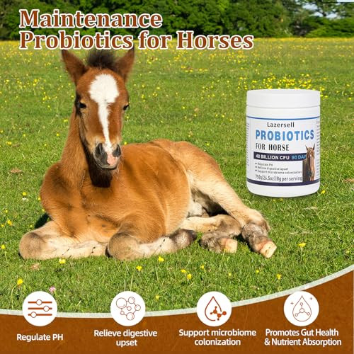 Lazersell Probiotics For Horses Dietary Supplement All-Natural Digestive System Maintenance Formula Equine Digestion Support Horse Health Supplements (90 Days)