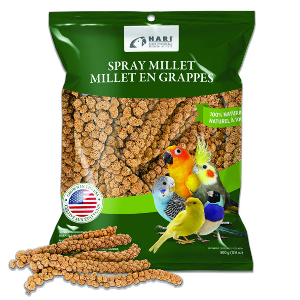 Living World Millet Spray For Birds 17.6 Oz Premium Treat For Budgies Canaries Finches Cockatiels And Other Pet Birds