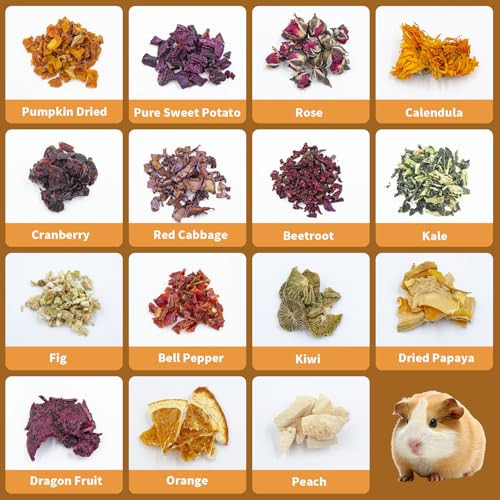 Mhllgn Bunny Treats Treat Box With 15 Kind Of Snacks For Rabbit Hamster Chinchilla Guinea Pig And Other Small Pets Chinchilla Treats Guinea Pig Treat