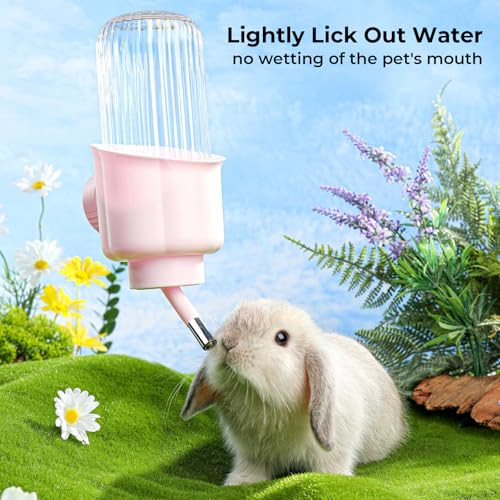 Mini&Moe Pet Water Bottle For Cage Crate - 17Oz No Drip Bpa Water Dispenser For Small Animal Rabbit Guinea Pig Chinchilla Ferret Squirrel Hedgehog - Green